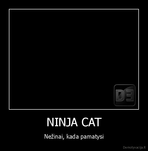 ninja, cat, kate, kate