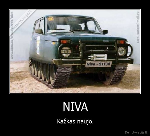 NIVA