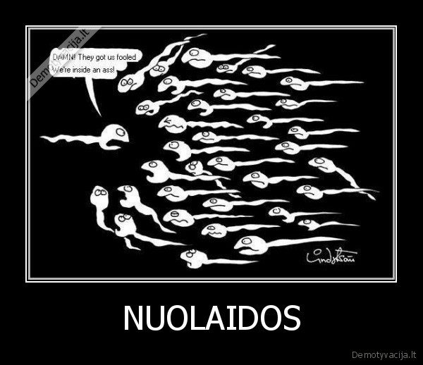 NUOLAIDOS