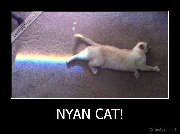 nyan, cat