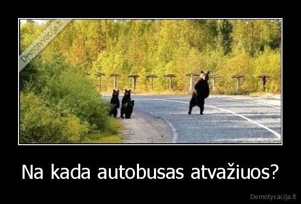 Na kada autobusas atvažiuos?