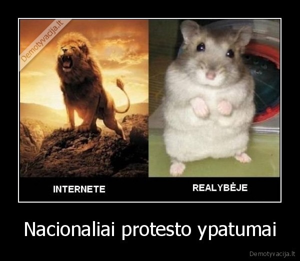 Nacionaliai protesto ypatumai