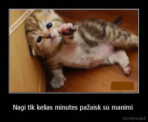 Nagi tik kelias minutes pažaisk su manimi 