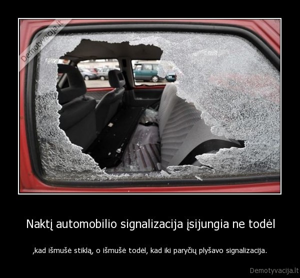 Naktį automobilio signalizacija įsijungia ne todėl