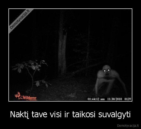 Naktį tave visi ir taikosi suvalgyti