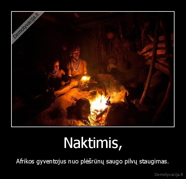 Naktimis,