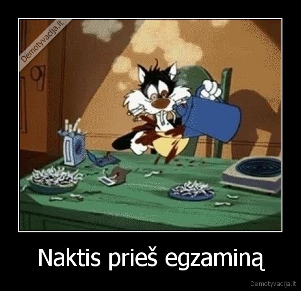 Naktis prieš egzaminą