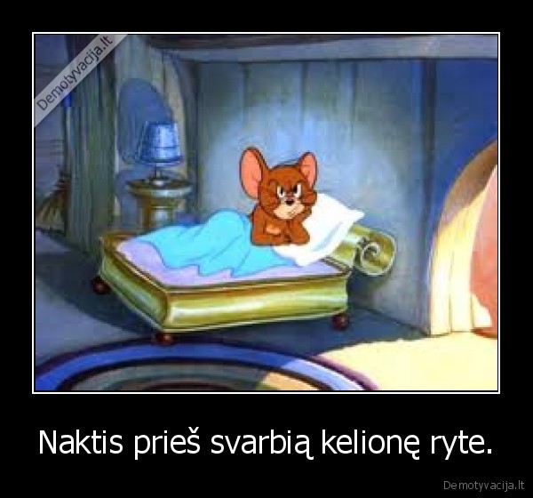 Naktis prieš svarbią kelionę ryte.