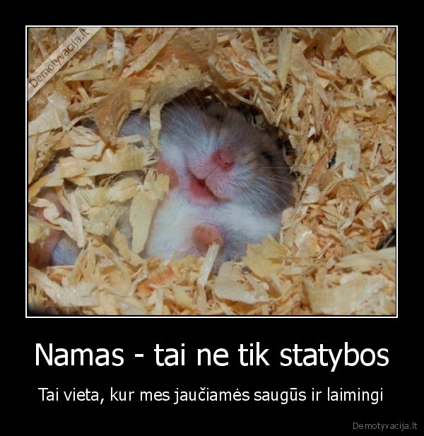 Namas - tai ne tik statybos