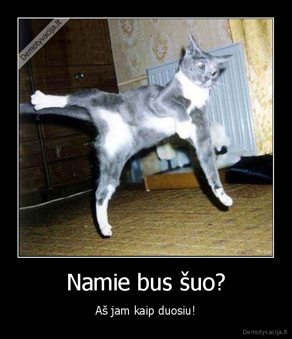 Namie bus šuo?