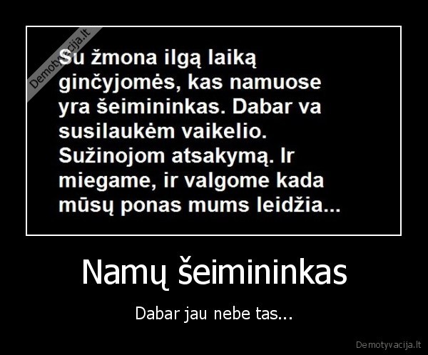 Namų šeimininkas