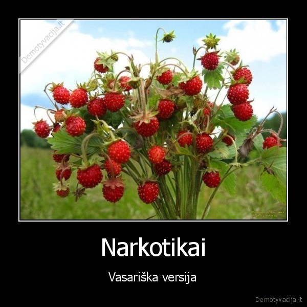 Narkotikai