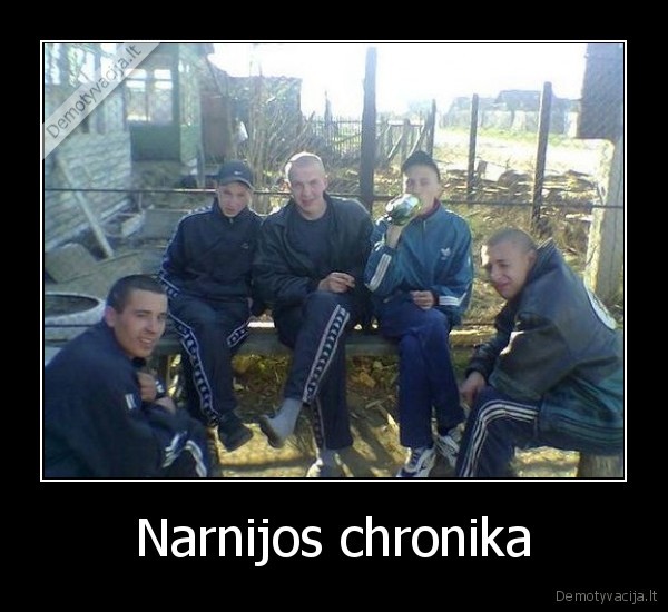 Narnijos chronika