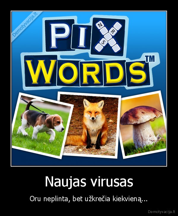 pixword, zaidimas,virusas,uzkreciantis, zaidimas