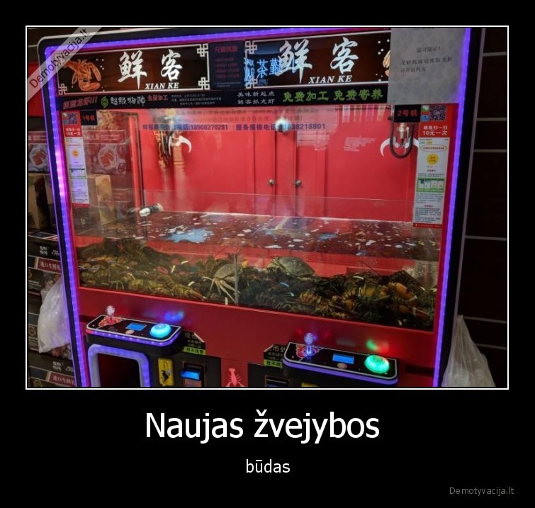 zvejyba,naujas,budas