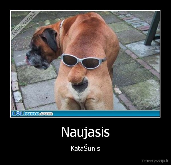 Naujasis