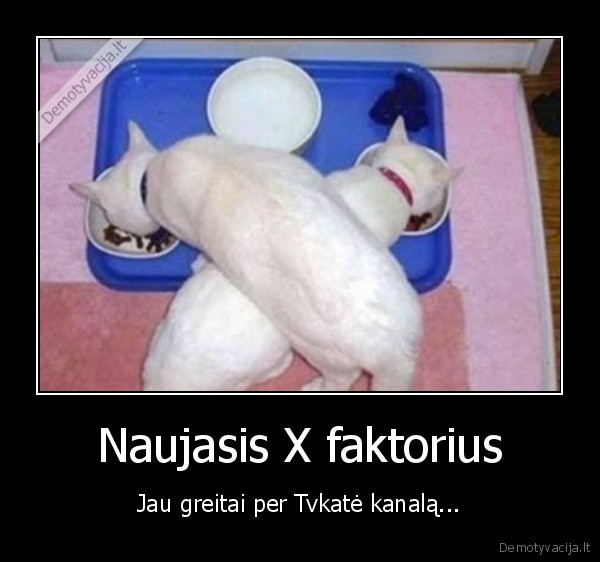 Naujasis X faktorius