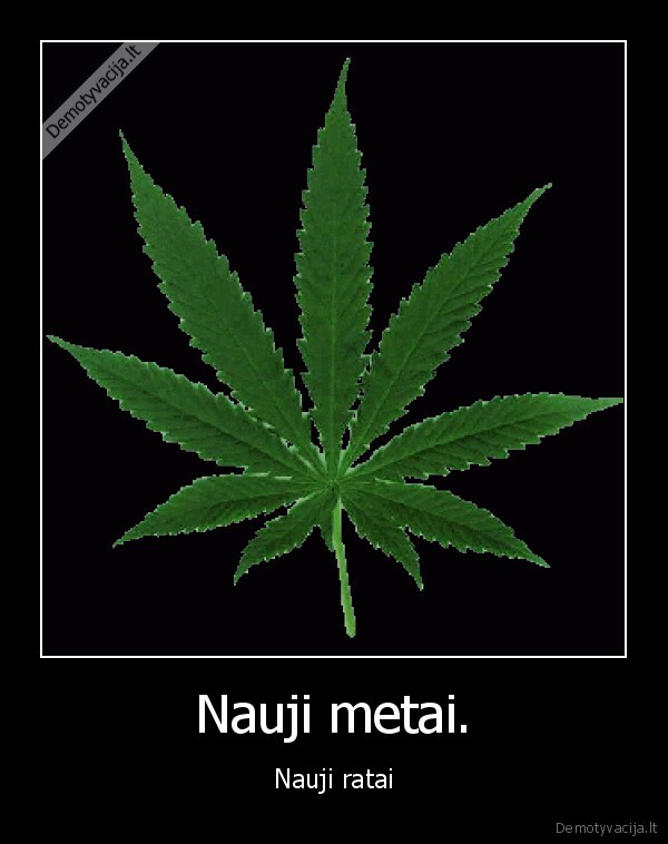 marijuana, nauji, metai, ratai, sventes