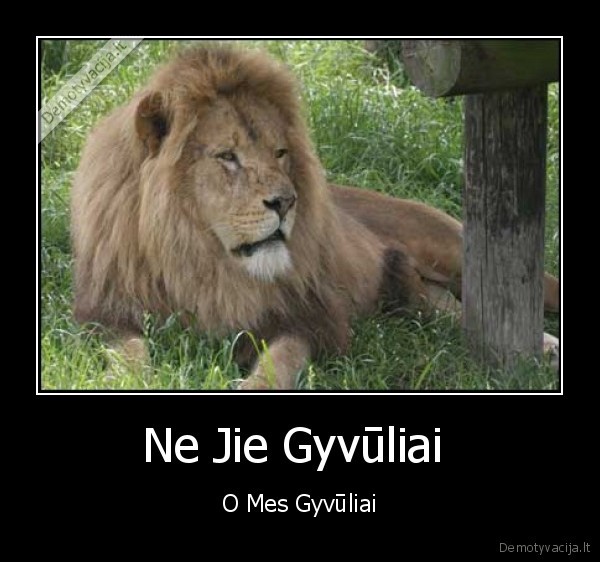 Ne Jie Gyvūliai 