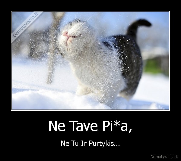 kate,purtykis,tu,ne