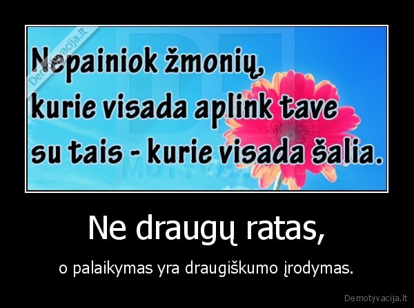 Ne draugų ratas,