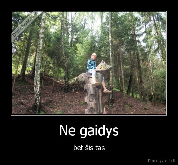 Ne gaidys