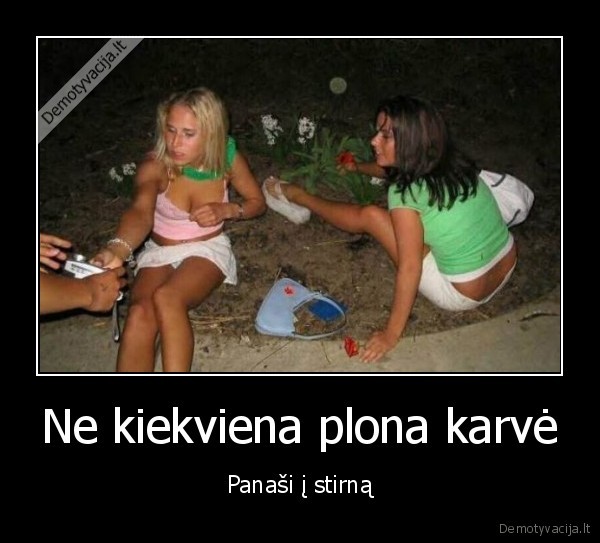 plona, karve,stirna,fyfos