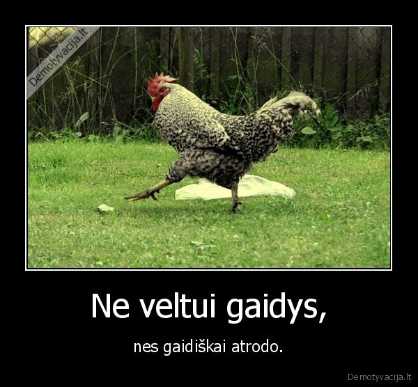 gaidys