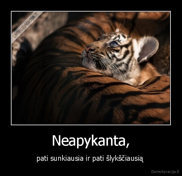 neapykanta