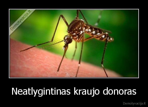 Neatlygintinas kraujo donoras