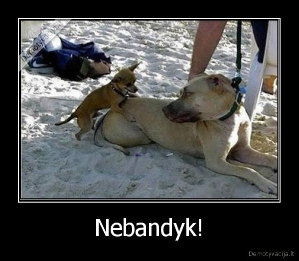 Nebandyk!