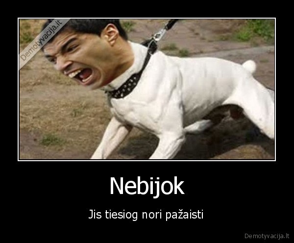 Nebijok