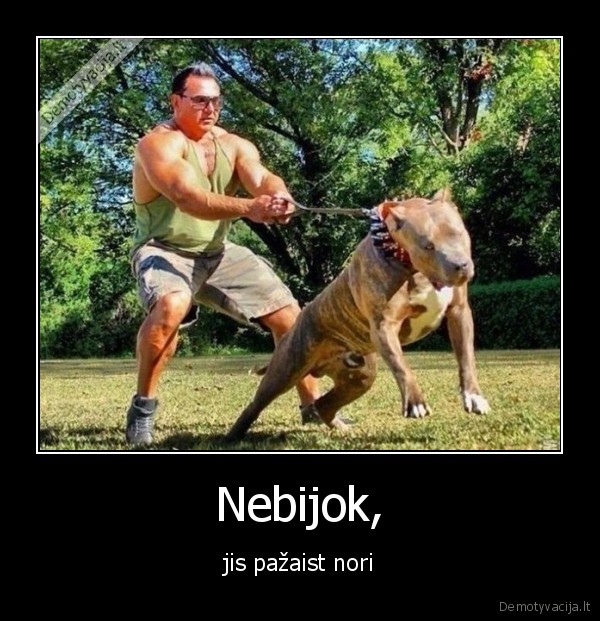 Nebijok,