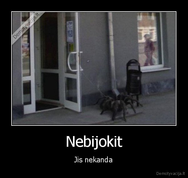 nebijokit,voras