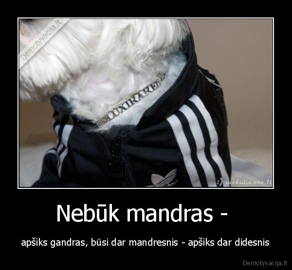 mandras, kaip, gandras