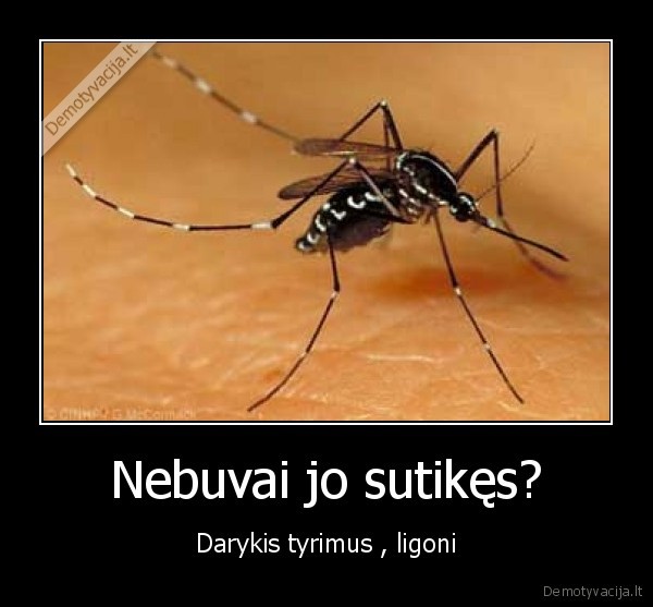 Nebuvai jo sutikęs?