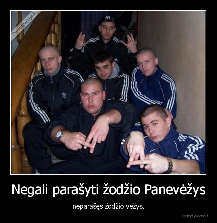 panevezys,vezys,marozai