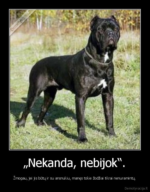 „Nekanda, nebijok“.