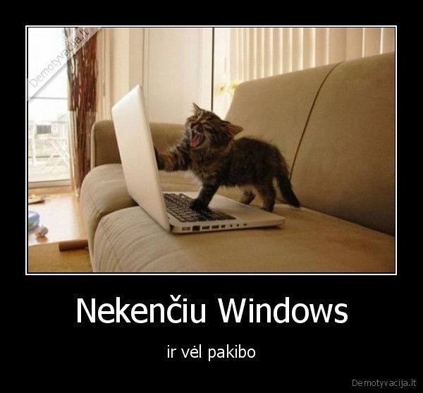 Nekenčiu Windows