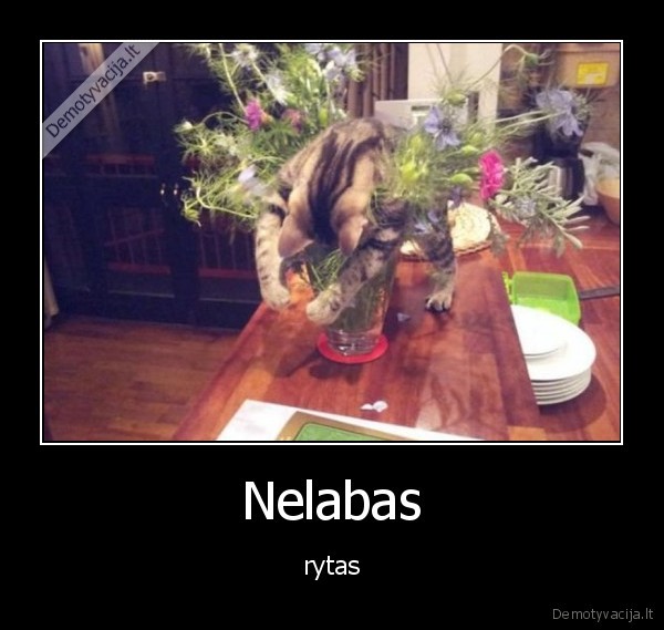 Nelabas