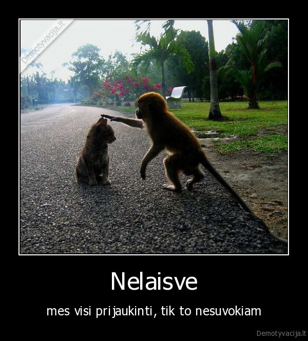 Nelaisve