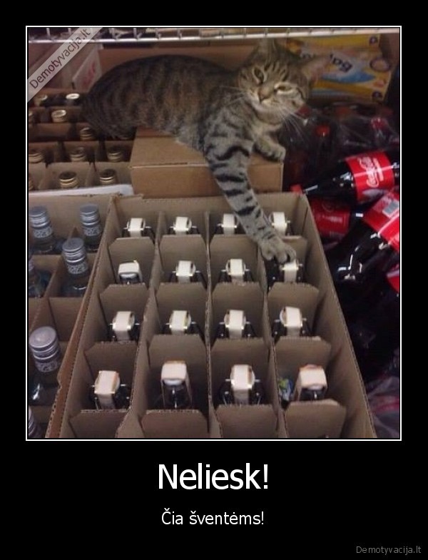 Neliesk!