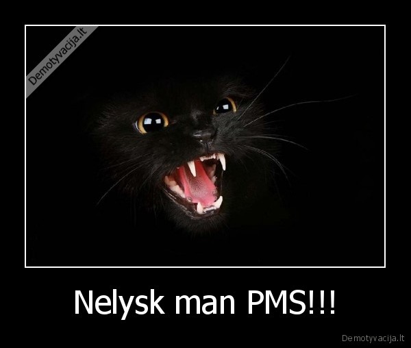 Nelysk man PMS!!!