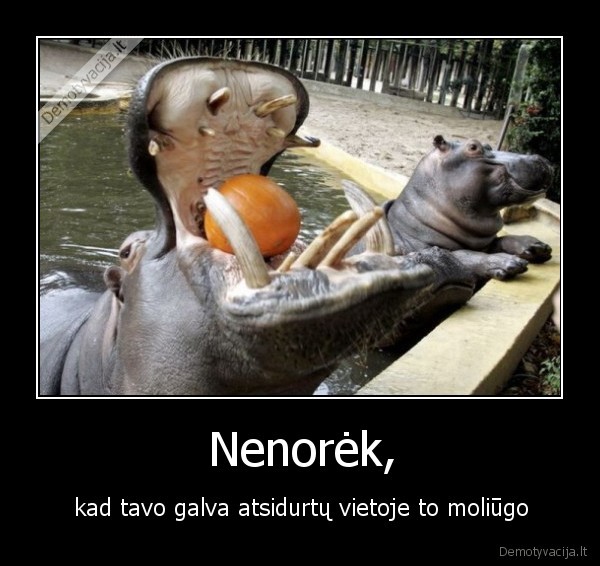 Nenorėk,