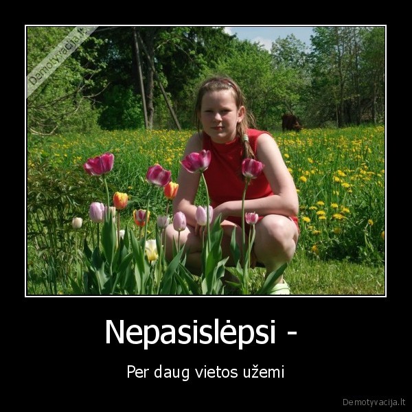 Nepasislėpsi - 