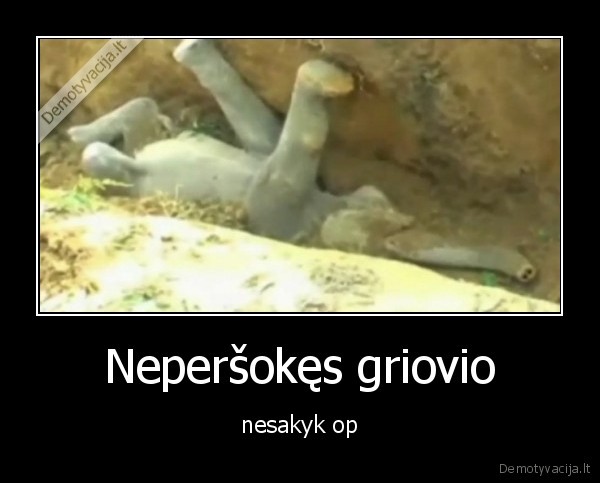 Neperšokęs griovio