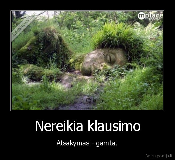 Nereikia klausimo