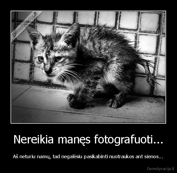 Nereikia manęs fotografuoti...