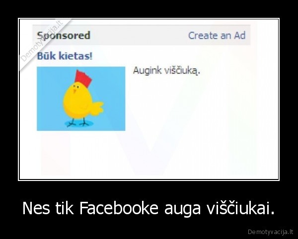 Nes tik Facebooke auga viščiukai.