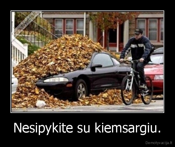 Nesipykite su kiemsargiu.